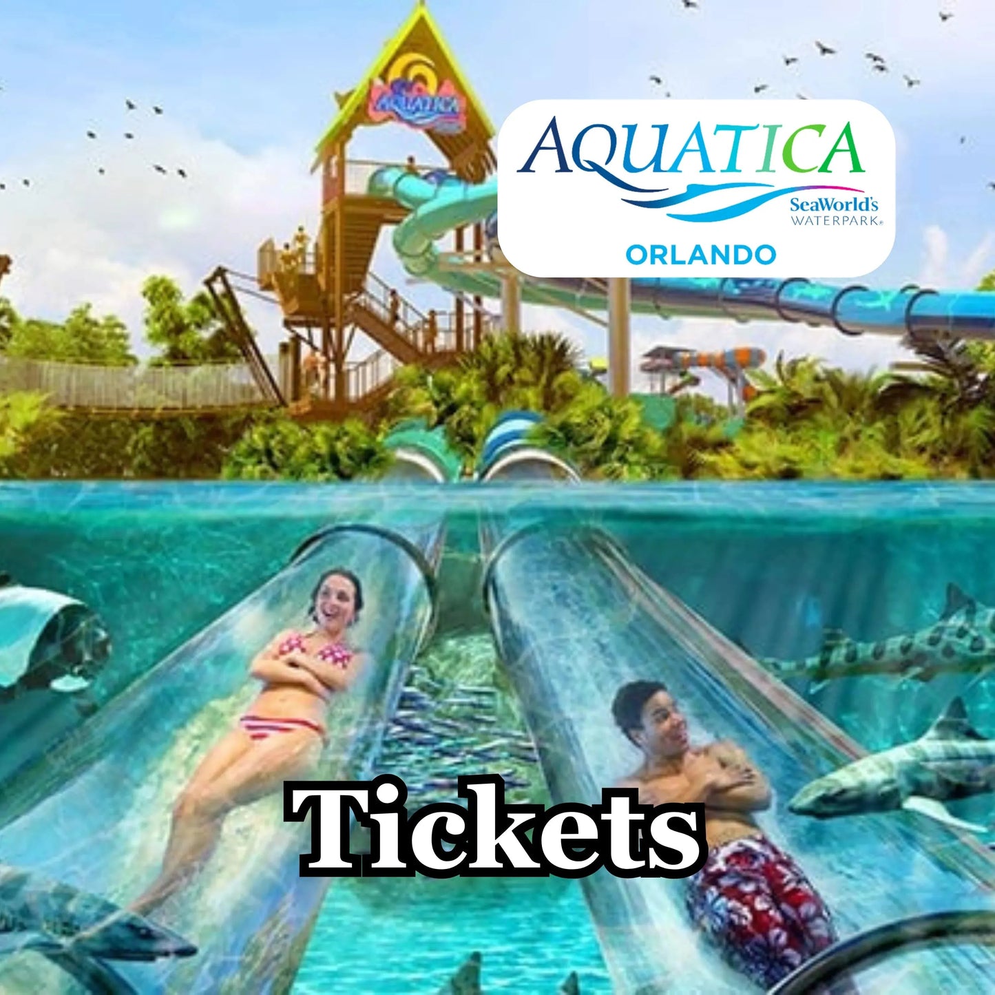 Aquatica Orlando Tickets
