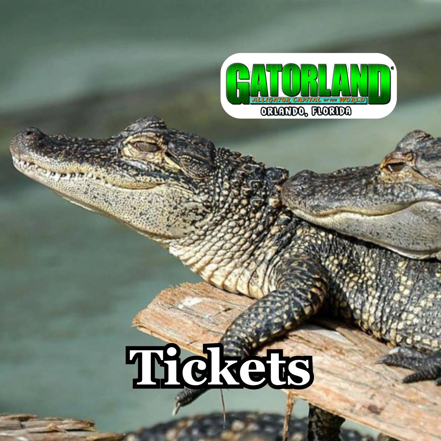 Gatorland Tickets