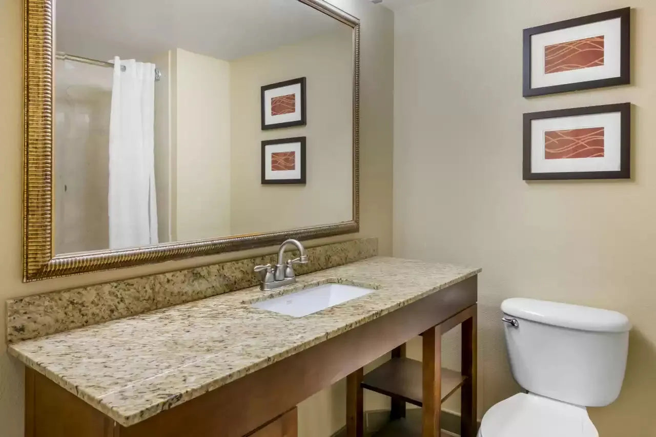 Orlando Hotels - Comfort Inn International Drive Orlando