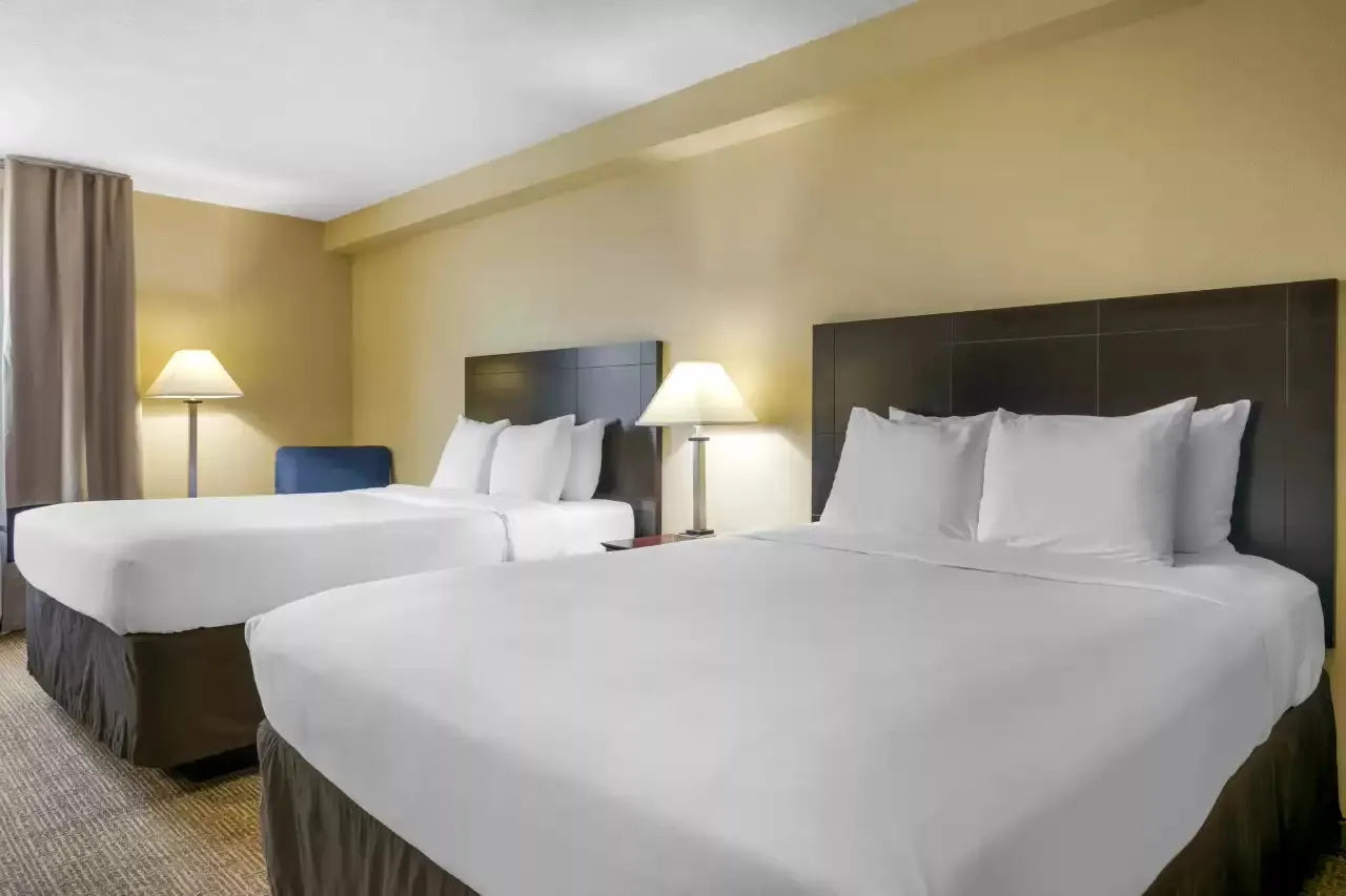 Orlando Hotels - Comfort Inn International Drive Orlando