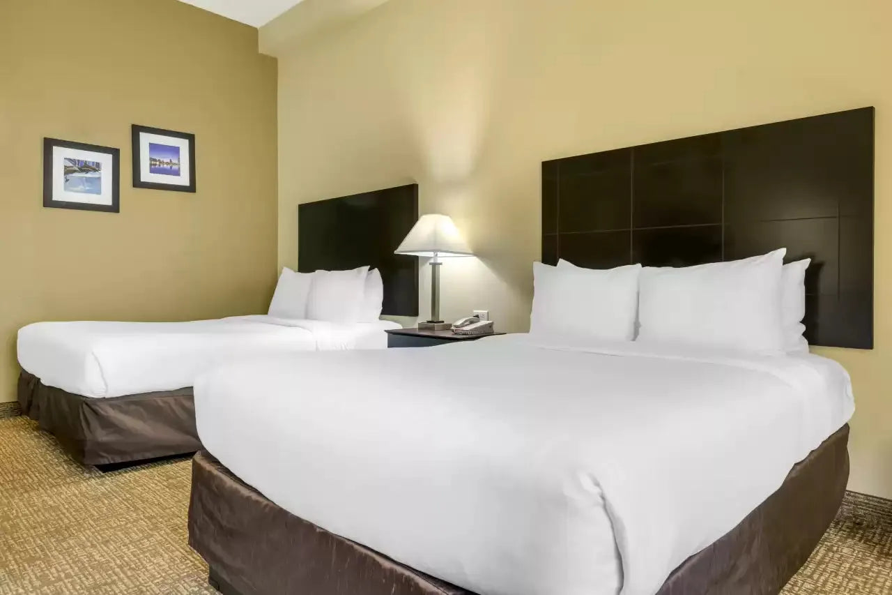 Orlando Hotels - Comfort Inn International Drive Orlando