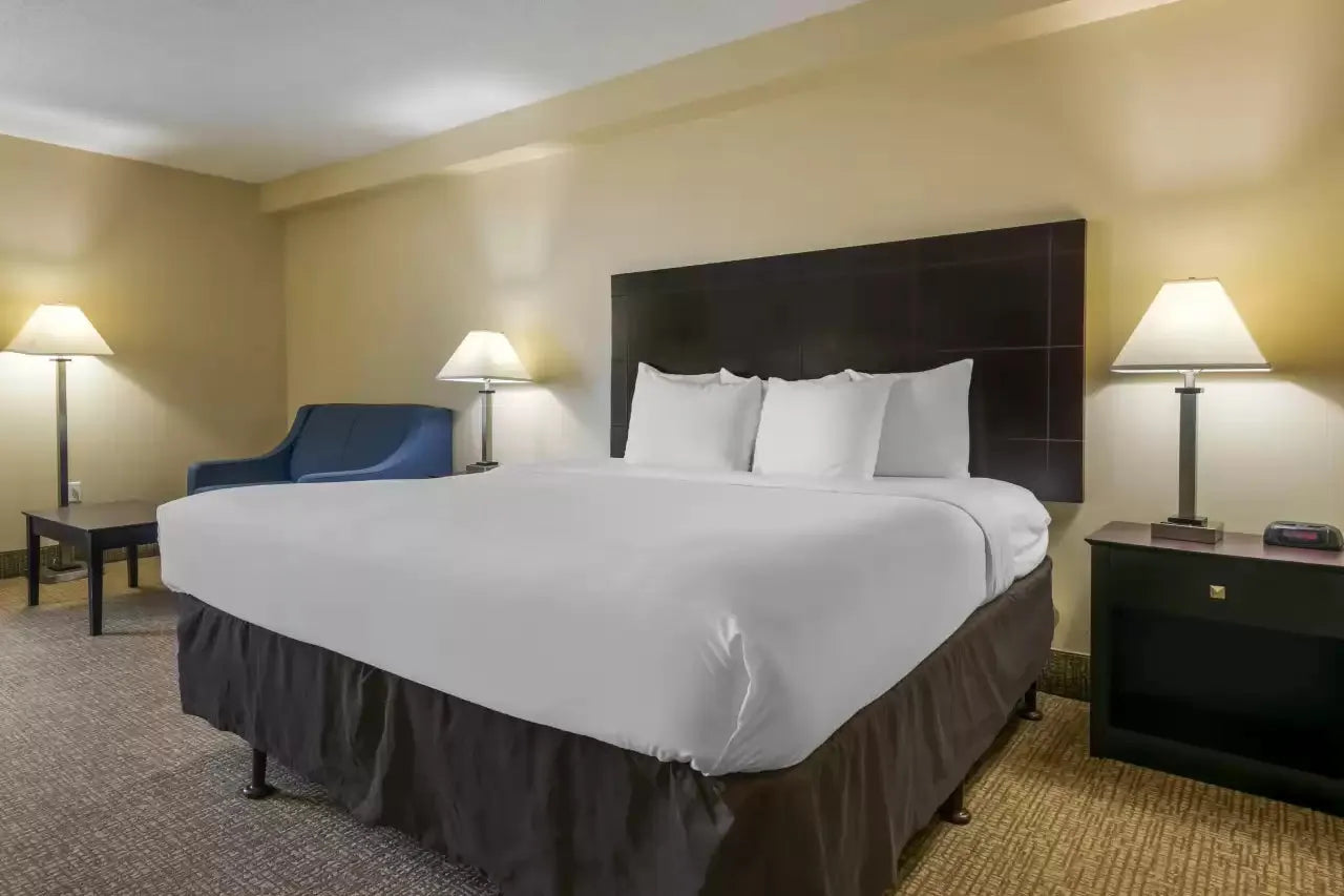Orlando Hotels - Comfort Inn International Drive Orlando