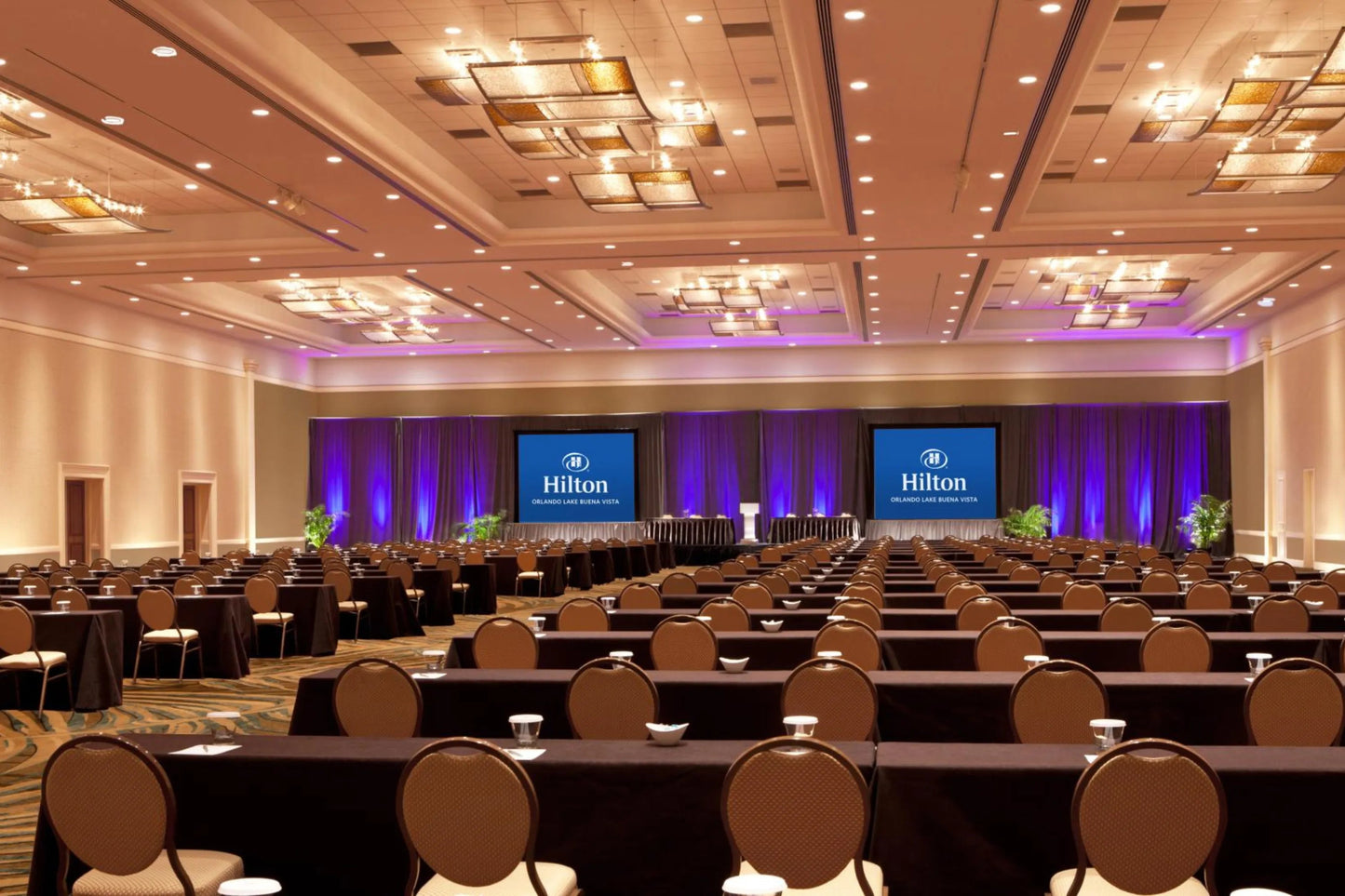 Orlando Hotels - Hilton Orlando Lake Buena Vista across from Disney Springs