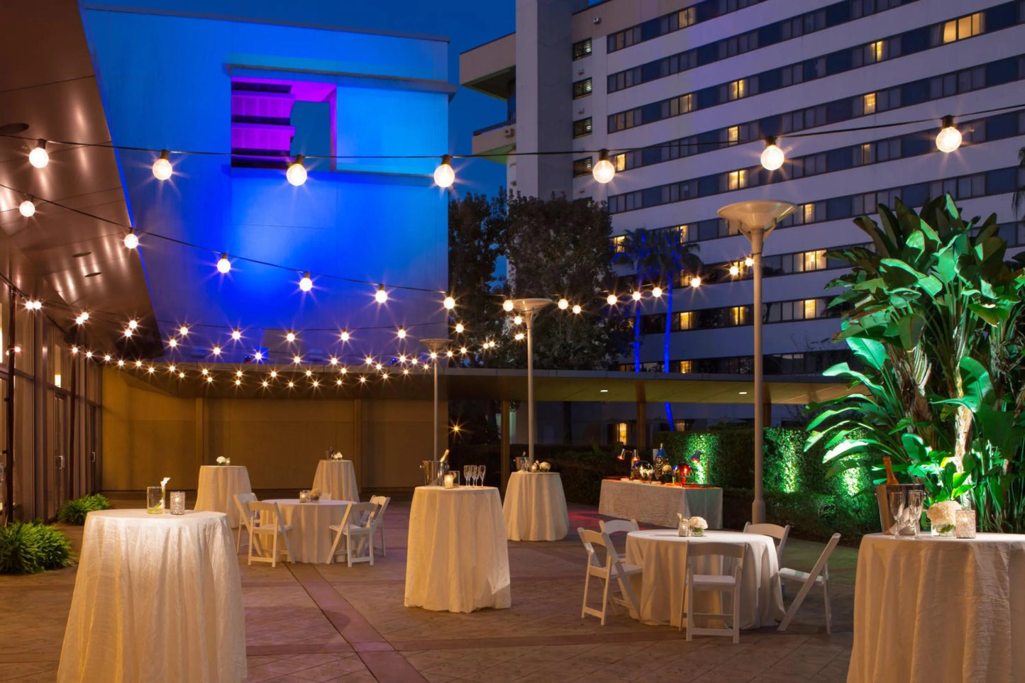 Orlando Hotels - Hilton Orlando Lake Buena Vista across from Disney Springs