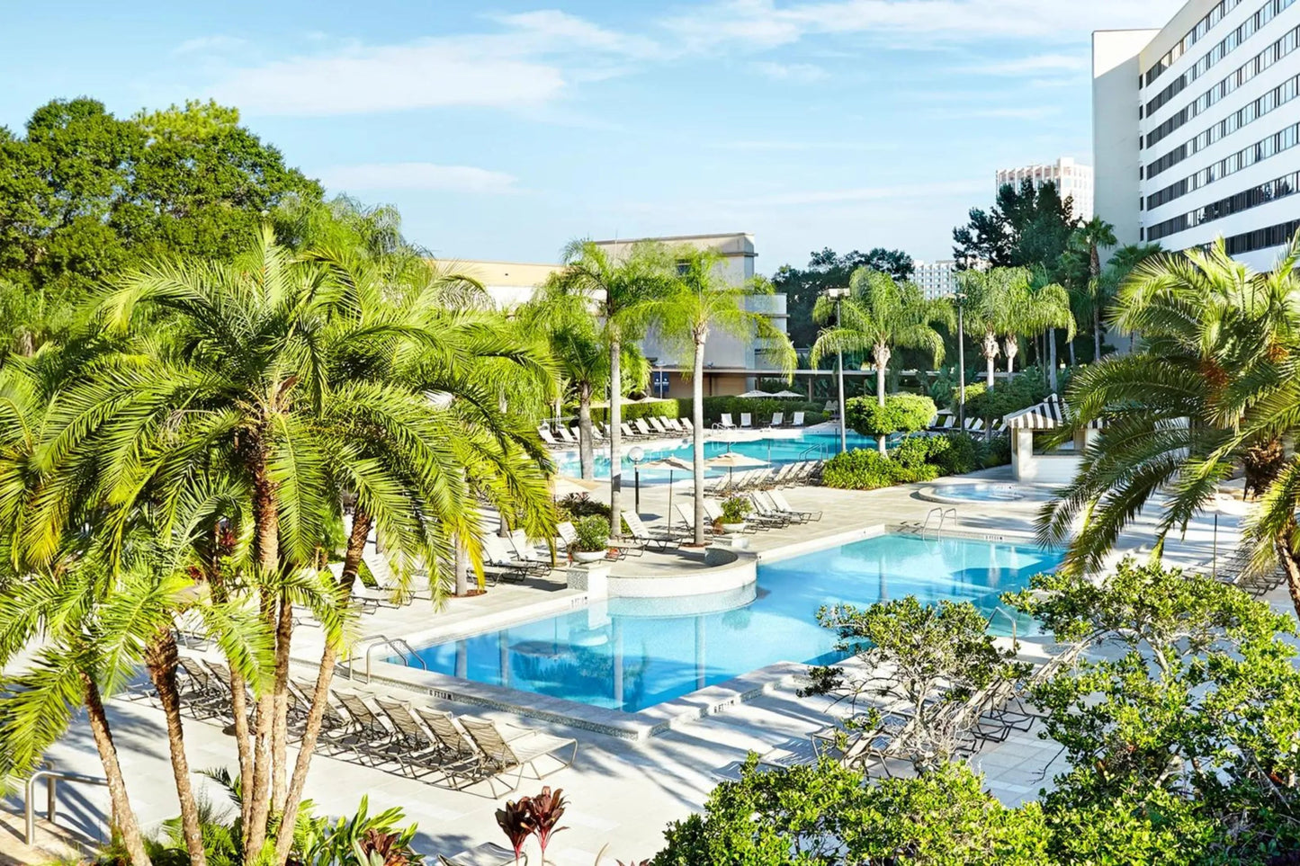 Orlando Hotels - Hilton Orlando Lake Buena Vista across from Disney Springs