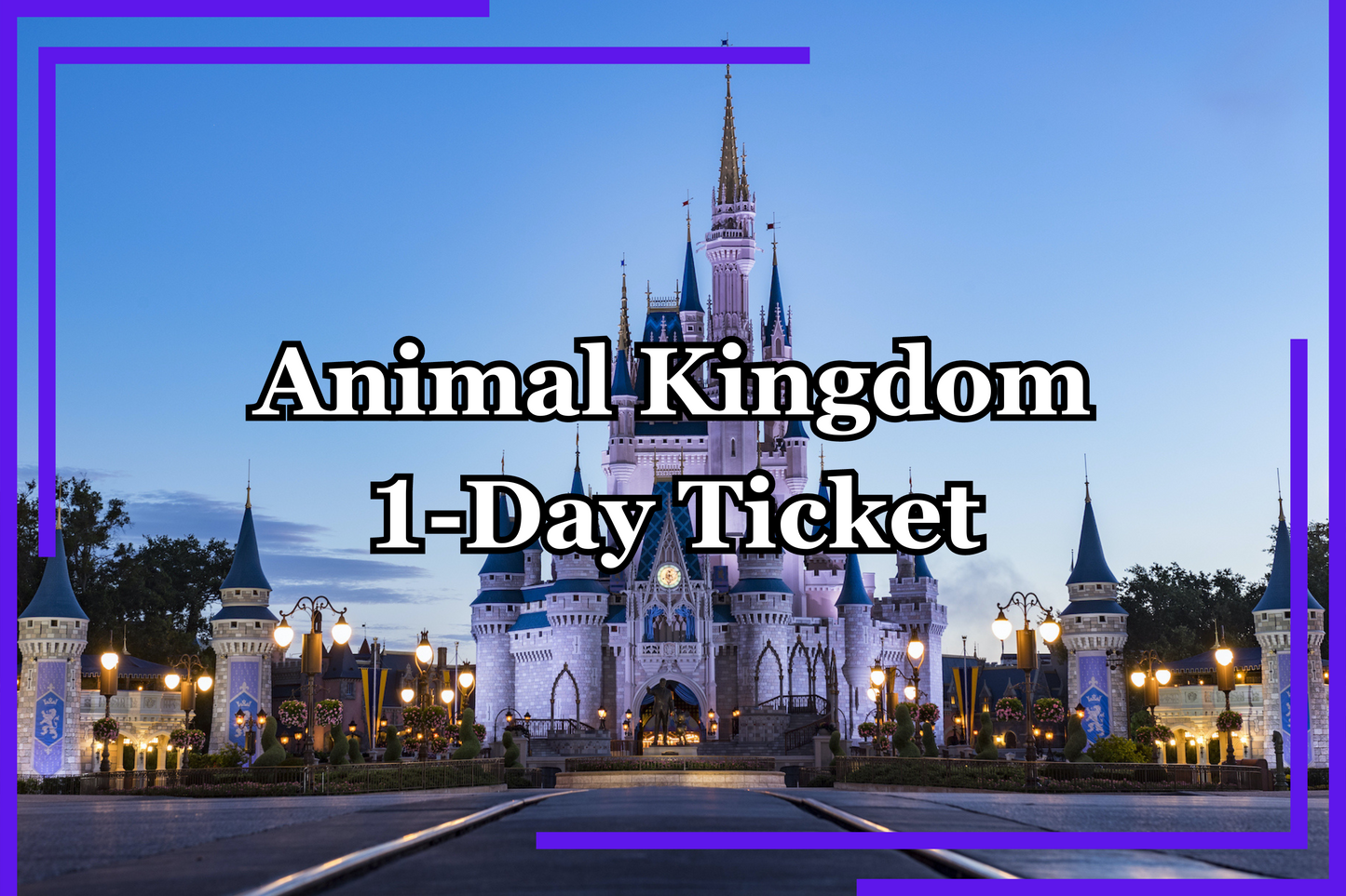 Walt Disney World Tickets