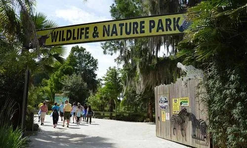 Wild Florida Nature Park is so much fun. You are likely to see alligators, zebras and so much more.