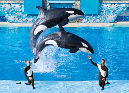 seaworld vacation packages