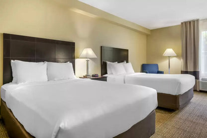 Orlando Hotels - Comfort Inn International Drive Orlando